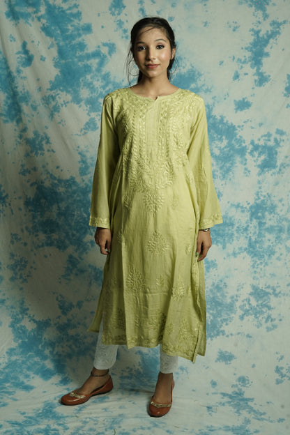 Modal Chikankari long Straight kurti