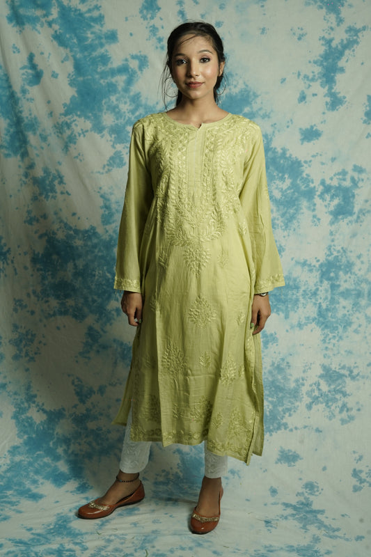 Modal Chikankari long Straight kurti