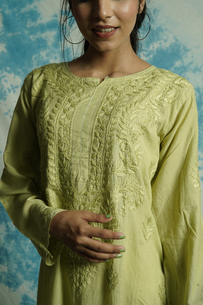 Modal Chikankari long Straight kurti